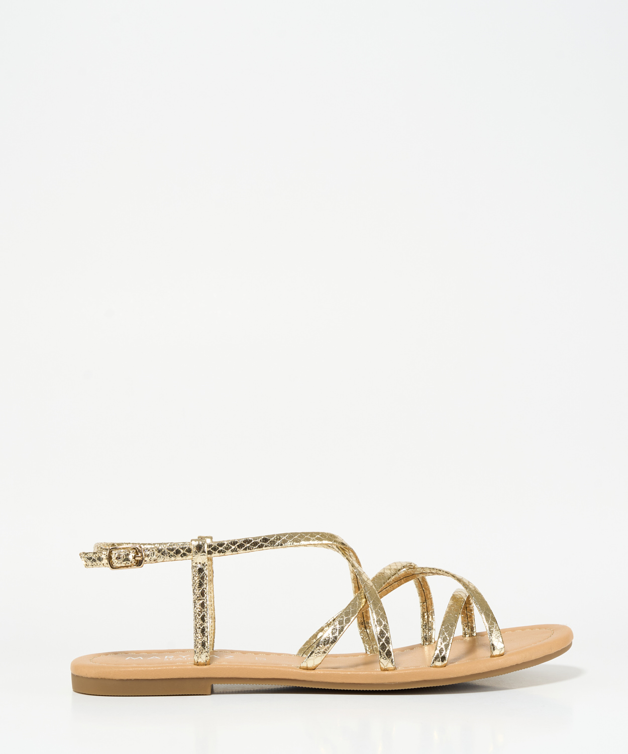 Sand&aacute;lia plana multitirras image number null